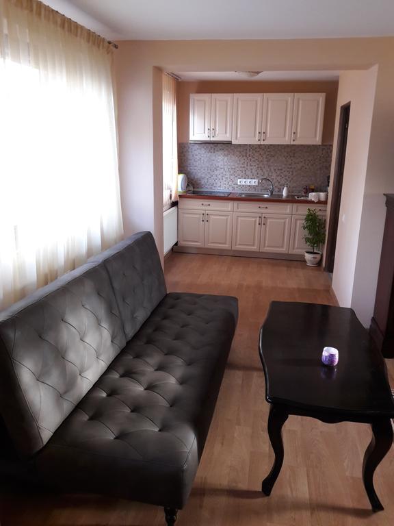 Bogdan'S Apartment Сибиу Екстериор снимка