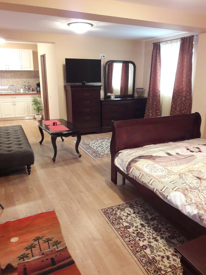 Bogdan'S Apartment Сибиу Екстериор снимка