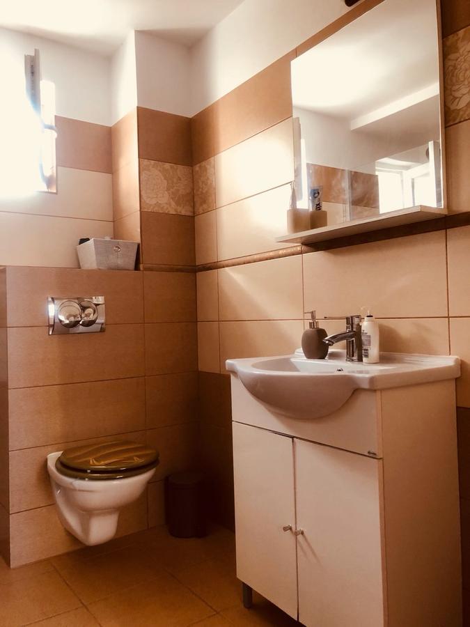 Bogdan'S Apartment Сибиу Екстериор снимка
